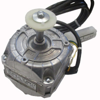 FAN MOTOR