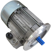 MOTORE M71 KW.0,37 V230/400 50/60