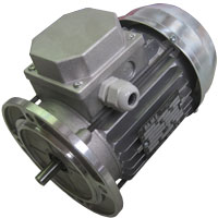 MOTOR HP.0,33 V.230 / 400 + 2T 50/60