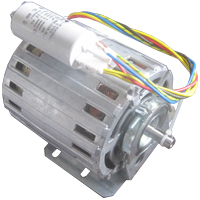 MOTORE 1/3 HP
