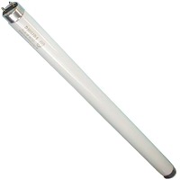 LAMPADA NEON TLD36W