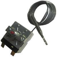 THERMOSTAT / PROBE 173 MM
