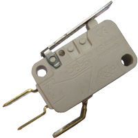 DOOR MICROSWITCH