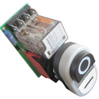 SCHEDA BASSA TENSIONE  230 V CON PULSANTE MOD. TG00MINI