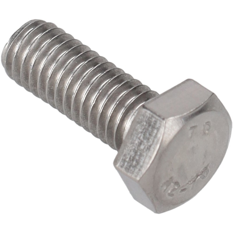 Vite inox TEM6x16