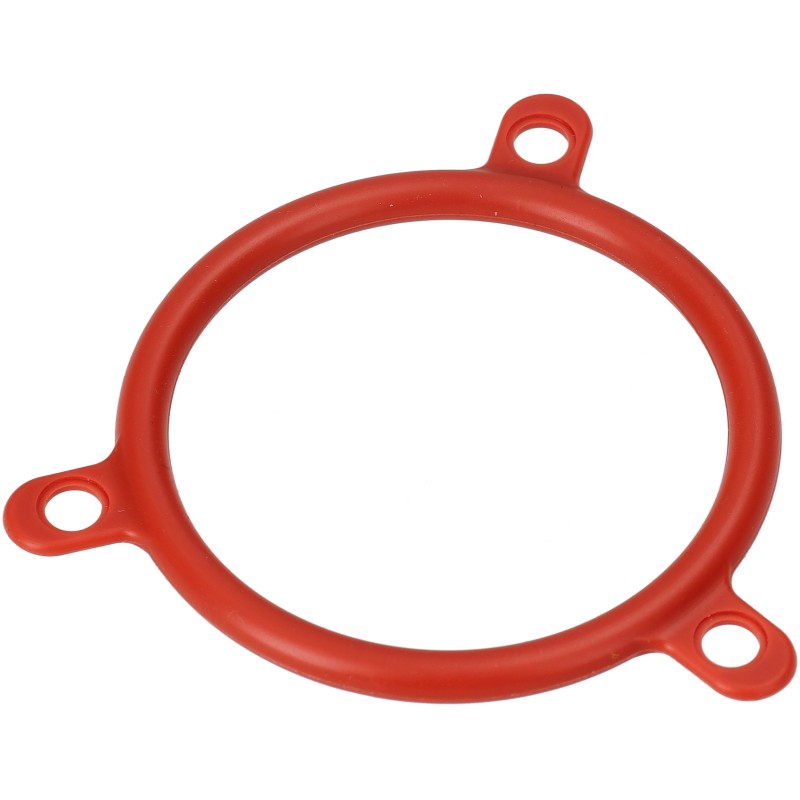ANELLO OR 57.99X5.33 SILICONE
