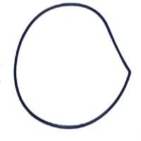 PUMP GASKET 1205T2532