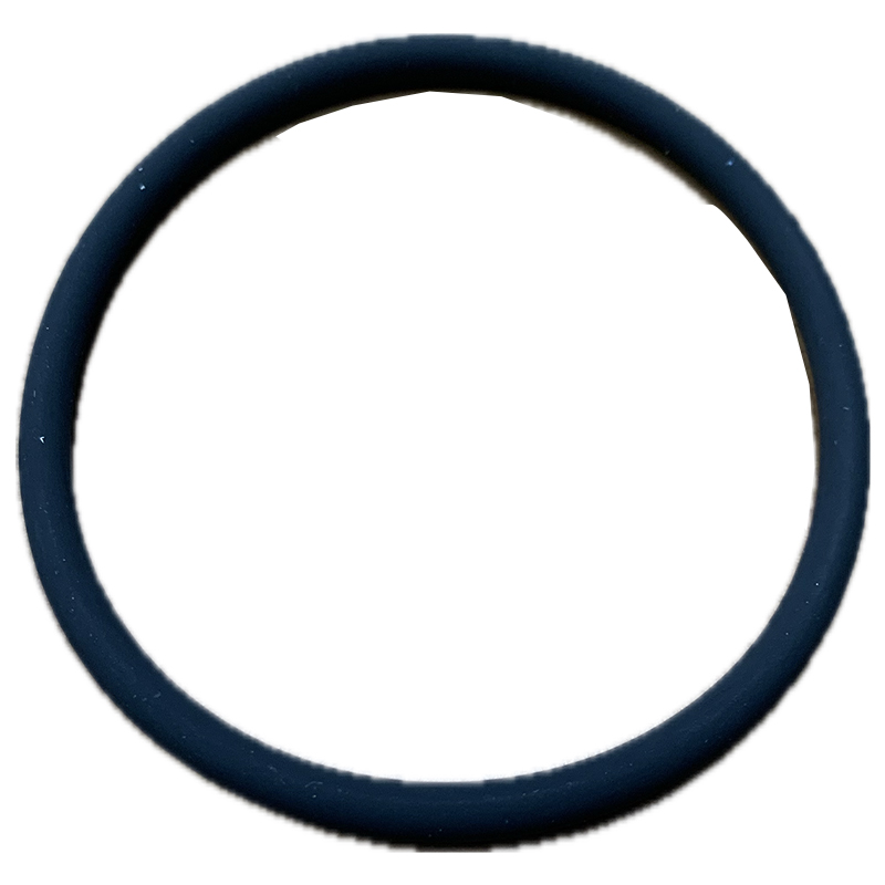GUARNIZIONE [C]