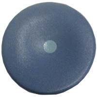 BUTTON 2 P 646 POINT DIHR