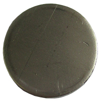 PASTIGLIA INOX D=13,9X1