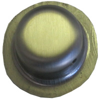 CAP WORM