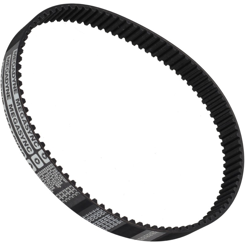 CINGHIA DENTATA 0720 RPP8 24